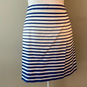 BR Mini Skirt